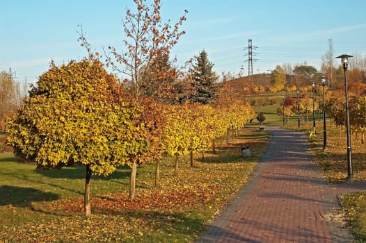 Autumn alley in fall park In Poland