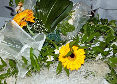 bunch of colourful flowers