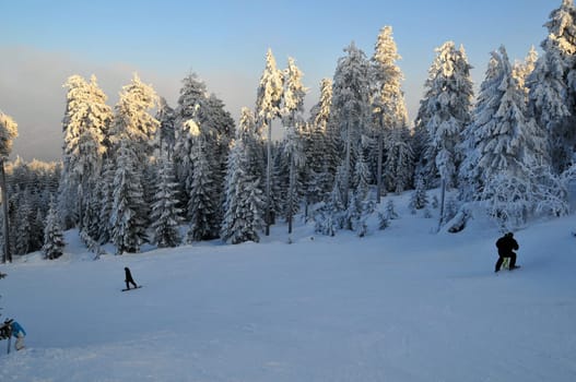Snow in the mountains in winter Fichtelgebirge