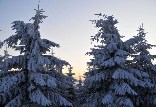 Snow in the mountains in winter Fichtelgebirge