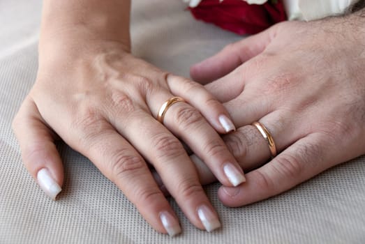 hands of the bride and groom with the wedding rings