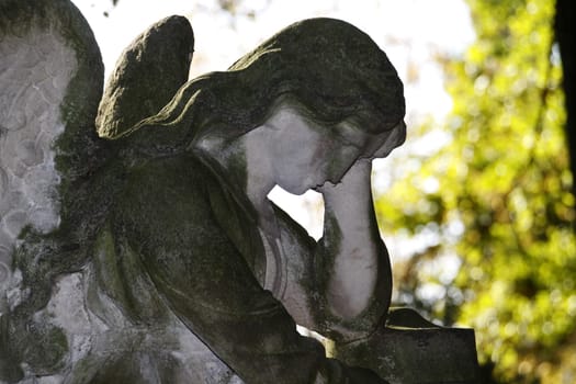 Stone Angel