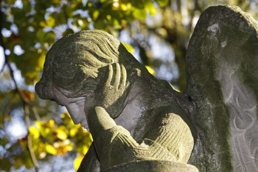 Stone Angel