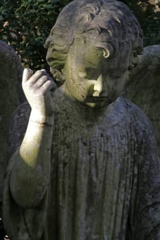Slightly battered angel in a cemetery