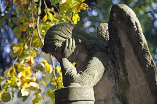 Stone Angel