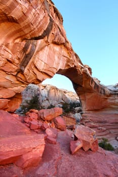 Hickman Natural Bridge spans a canyon at Capitol Reef National Park of Utah.