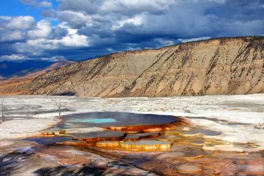 Evening sunlight shines on Canary Spring of the Mammoth Hot Springs in Yellowstone National Park.