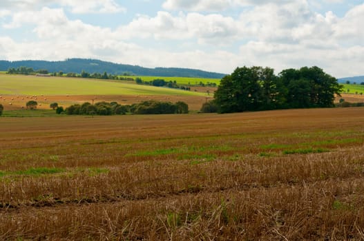Rural Landscape - Harvested Agricultural Field and Blue Sky