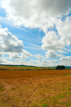 Rural Landscape - Harvested Agricultural Field and Blue Sky
