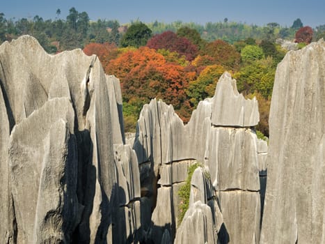 Shilin Stone Forest,Kunming,popular tourist destination in Yunnan Province,China