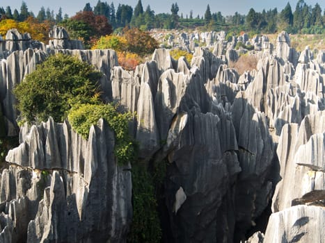 Shilin Stone Forest,Kunming,popular tourist destination in Yunnan Province,China