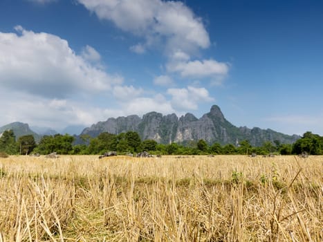 Vang Vieng Karst Mountains,Landscape of Laos with Dry Rice Field