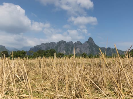 Vang Vieng Karst Mountains,Landscape of Laos with Dry Rice Field