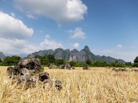 Vang Vieng Karst Mountains,Landscape of Laos with Dry Rice Field