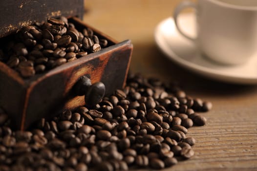 closeup of coffee beans, shallow dof