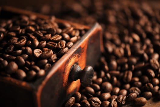 closeup of coffee beans, shallow dof