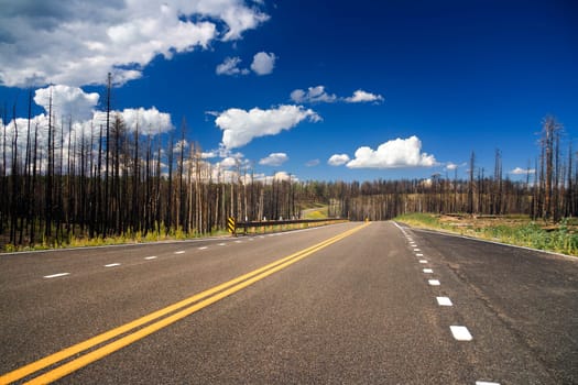Road in Grand Canyon National Park, Arizona