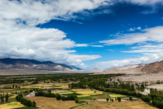 View of Indus valley from Thiksey gompa. Ladakh, India