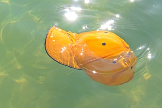 the cap floats on the surface of the water.