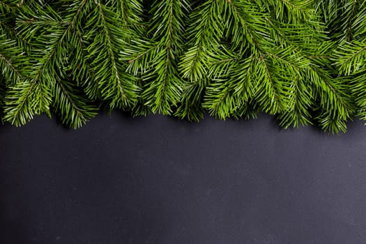 Pine Christmas tree branches on black paper background flat lay top view mock-up