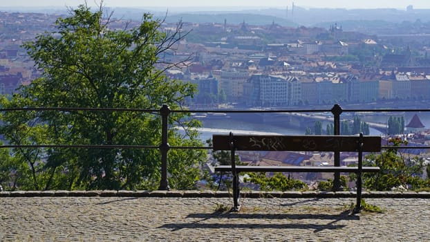 Beautiful city park. Early autumn in the city. Trees and benches for rest in the park