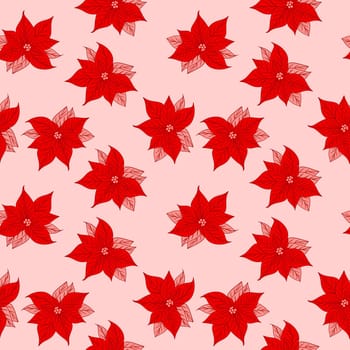 Seamless hand drawn pattern with pink red poinsettia Christmas star flowers winter floral print, red pink crimson vermilion on white background, for new year wrapping paper textile botanical decor art