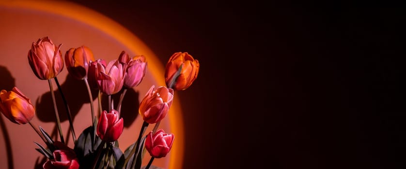 Pink colored tulip flower in neon light on red gradient background in the night light. Flowers for decoration. Creative dark holiday concept. Copy space greeting card Floral bouquet of fresh flowers. Aesthetic sunset lamp