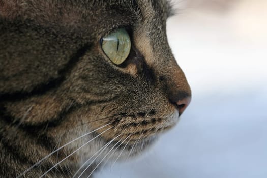 An interested look
