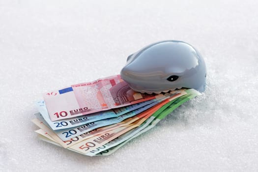 Putting the euro on ice