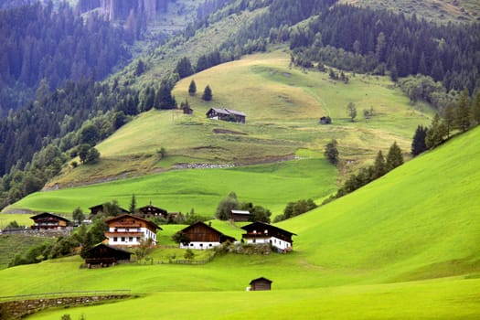 Rauris
