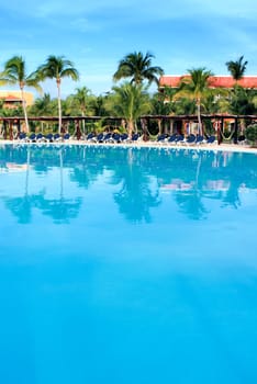 swimming pool with coconut tree in summer