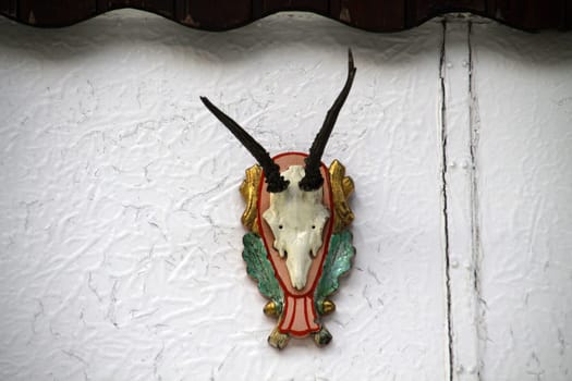 Antlers on a house wall