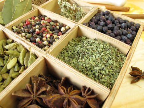 Spice box with pepper,marjoram,coriander and other spices