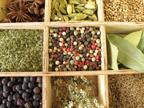 Spice box with pepper,marjoram,coriander and other spices