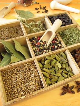 Spice box with pepper,marjoram,coriander and other spices
