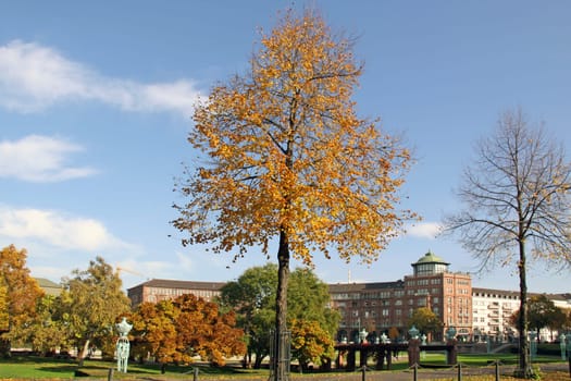 Mannheim Friedrichplatz