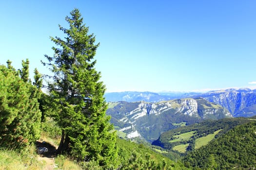 Hiking trail on Monte Baldo to the 2200m high Punta Telegrafo,province of Verona,Italy
