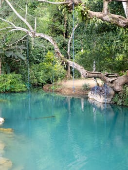 blue lagoon in Vang Vieng,Laos,clear water for swimming with tropical forest