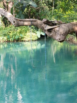 blue lagoon in Vang Vieng,Laos,clear water for swimming with tropical forest