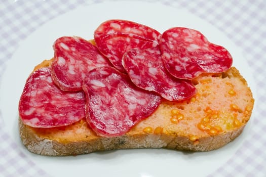 Catalan-style tomato rubbed on a slice of bread with oil and salt point, about the scourge of rural style.