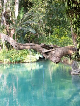 blue lagoon in Vang Vieng,Laos,clear water for swimming with tropical forest