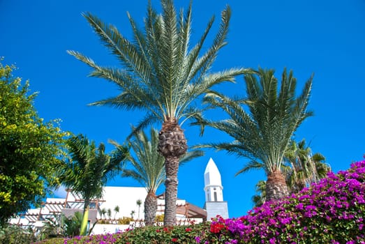 A Traditional Canary Island Bell Tower Palm Trees and Bougainvillea