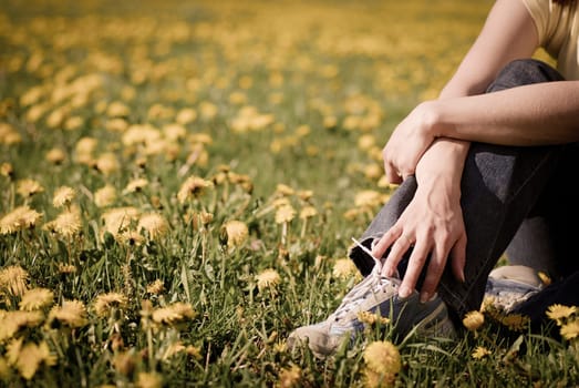 Torso of woman sitting in beautiful field of dandelions