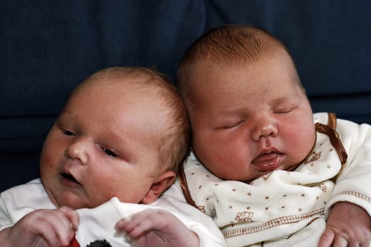 sleeping babies