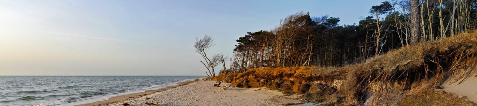Fischland-Darß - Panorama of 6 individual shots - Beach between Ahrenshoop and Born - Mecklenburg-Vorpommern -