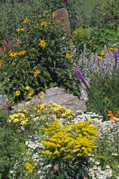 Cottage garden