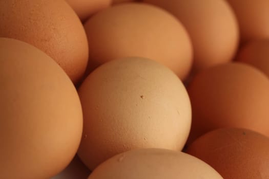 Plain Eggs