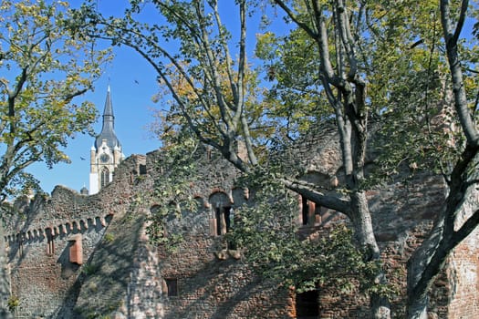 Tiefburg Handschuhsheim [Heidelberg]