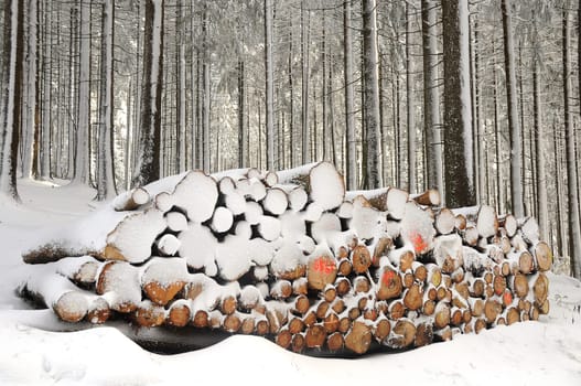 Wood stacks