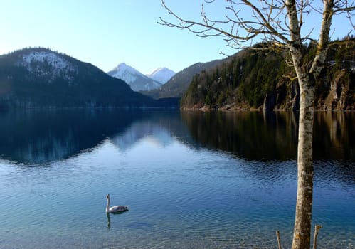 the Alpsee near Hohenschwangau